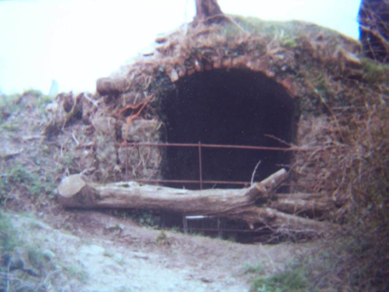 The old canal wheelpit at Merrifield